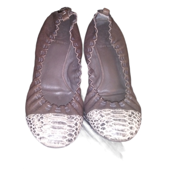 Tory Burch Shoes - Tori Burch Abbey Snake skin Ballet Flat